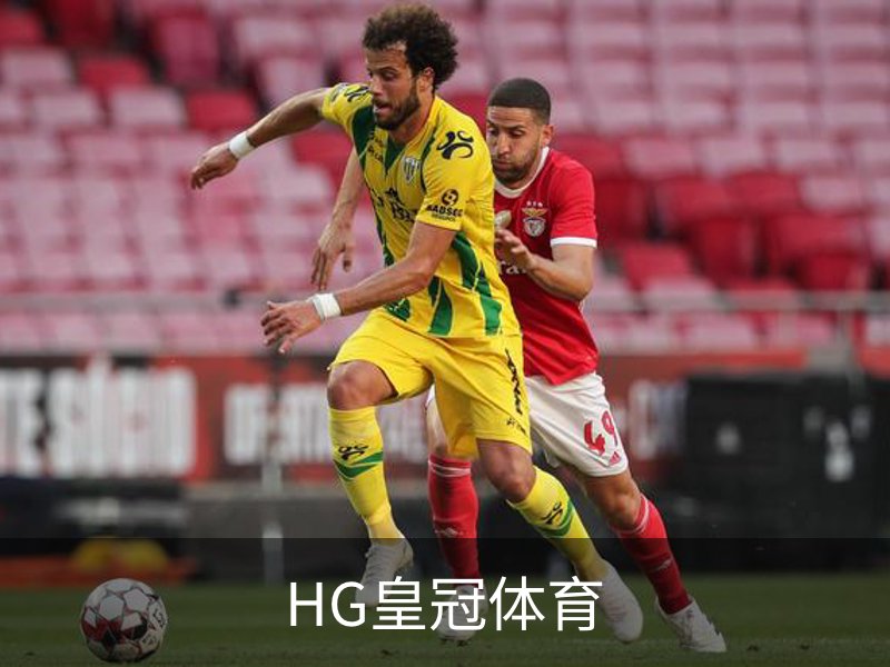 HG皇冠体育概况